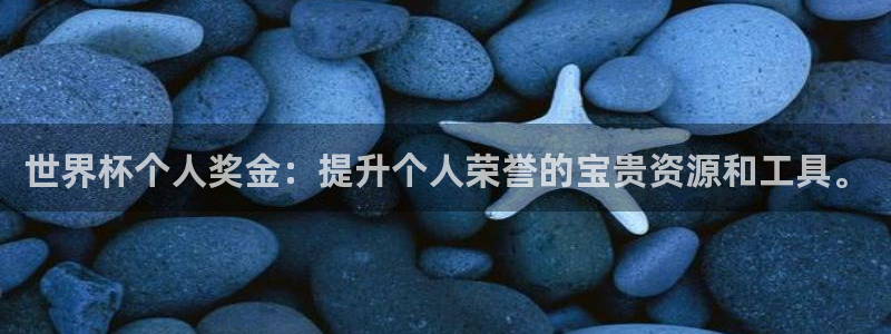 2026足球世界杯:世界杯个人奖金:提升个人荣誉的宝贵资源和工具。
