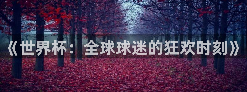 世界杯 2026:《世界杯:全球球迷的狂欢时刻》