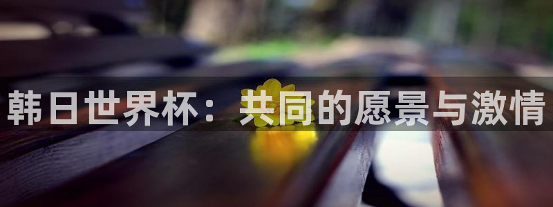 世界杯预选赛赛程:韩日世界杯:共同的愿景与激情