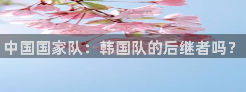 2026世界杯官网入口:中国国家队:韩国队的后继者吗?