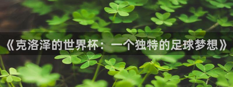 2026世界杯足球赛程时间表:《克洛泽的世界杯:一个独特的足球梦想》