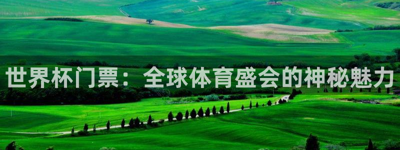 足球世界杯:世界杯门票:全球体育盛会的神秘魅力